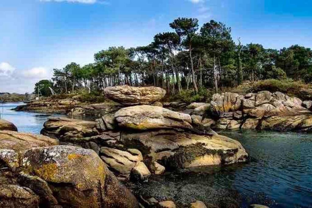 « Bleu Comme Mer » A Deux Pas Des Plages コンカルノー エクステリア 写真